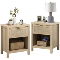 Alayha 19.7” W Nightstand (Set of 2)